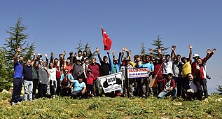 Maraş foto safari: Uludaz uğur böcekleri 