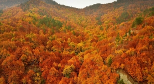 Kahramanmaraş’ta kare kare sonbahar