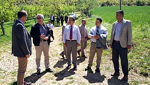 ÇAĞAYANCERİT'TE BÖCEKLERİN SAVAŞI BAŞLADI!