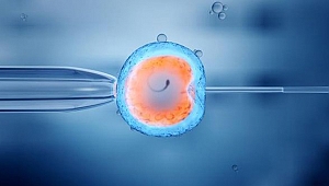 HAMİLE KALMA ŞANSINIZI YÜZDE 25 ARTTIRABİLİRSİNİZ!