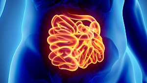 İBH KONUSUNDA MERAK EDİLEN SORULARIN YANITI BU KANALDA