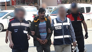 Telefon çaldı, bilgisayar çaldı ama savan çalarken yakayı ele verdi