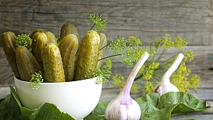 Türk salatalık ve kornişonu dünya sofralarını süslüyor