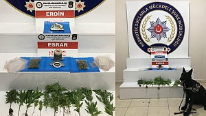 UYUŞTURUCU TACİRİ, DEDEKTÖR KÖPEĞİ ALFİ'DEN KAÇAMADI!