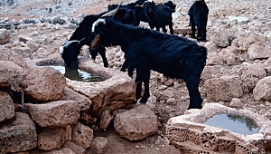 ANAMED KEMERLİ GALERİ YENİ SERGİ İLE KAPILARINI AÇTI