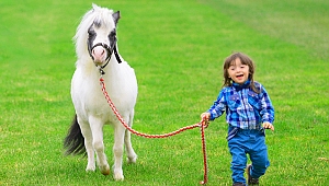 Atçılara TJK’dan ilave yüzde 15 ikramiye