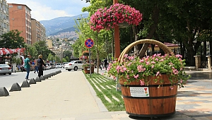 ÇİÇEK SEPETLERİ İLGİ ODAĞI OLDU