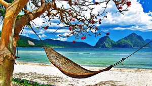 TÜRKİYE YAZ ARAŞTIRMASI