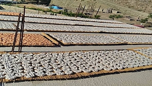 ÇAĞLAYANCERİT’TE TARHANA MEVSİMİ BAŞLADI