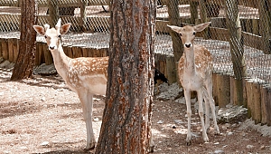 DOĞAL YAŞAM ÇİFTLİĞİ’NE ZİYARET