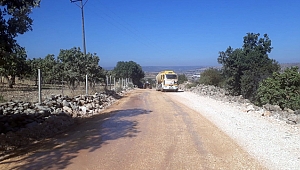 EĞRİCE YOLUNA FİLLER SERİMİ