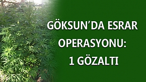 GÖKSUN’DA KENEVİR BASKINI: 1 GÖZALTI