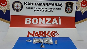 KAHRAMANMARAŞ’TA BONZAİ ALARMI! 