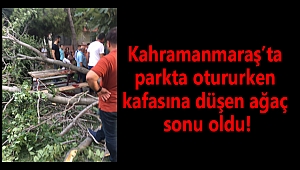 Kahramanmaraş'ta parkta otururken kafasına düşen ağaç sonu oldu!