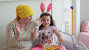 LÖSEV NELER BAŞARIYOR?