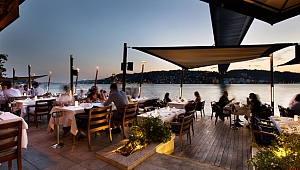 Mevsimin En Taze Lezzetleri Lacivert’te!