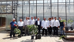 Rektör Can, Ziraat Fakültesi Sera ve Uygulama Bahçelerinde İncelemelerde Bulundu