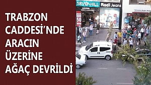 TRABZON CADDESİ’NDE ARACIN ÜZERİNE AĞAÇ DEVRİLDİ