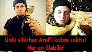Ünlü sihirbaz Aref’i kobra soktu! Her an ölebilir!