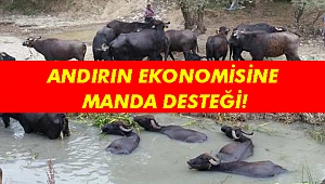 ANDIRIN’A MANDA DESTEĞİ!