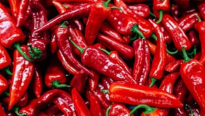 Biber Üreticileri İçin OSB