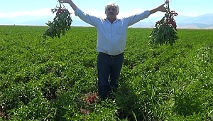 Büyükşehir’den Maraş Biberi’ne Destek