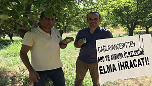 Çağlayancerit’ten ABD ve Avrupa ülkelerine elma ihracatı!