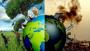 Çevre Sorunlarının Yüzde 50'si Son 35 Yılda Meydana Geldi
