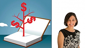 Devlet Destekli Girişim Sermayesi