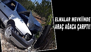 Elmalar Mevkiinde Araç Ağaca Çarptı!