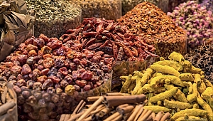 Gıda ve iklim kaynaklı göçmen sayısı 1 milyara ulaştı