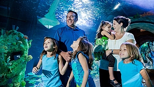 Hilton İstanbul Bomonti'nin Bayram Paketi ile İstanbul'un Güzelliklerini Keşfe Çıkın