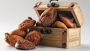 İncirde File Sistemi ile Yüksek Kalite Hedefi