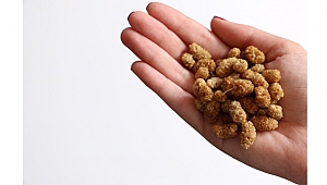 Kadın girişimci Süper gıda pazarını dut ile fethediyor