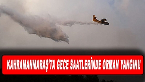 Kahramanmaraş’ta Gece Saatlerinde Orman Yangını!