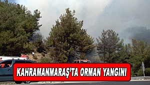 Kahramanmaraş'ta Orman Yangınları Bitmiyor!
