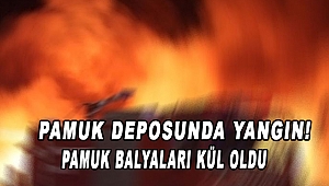 Kahramanmaraş’ta Pamuk Deposunda Yangın 