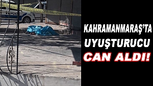 Kahramanmaraş'ta Uyuşturucu Kullanan Genç Sokak Ortasında Can Verdi!