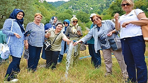 KASKİ İl Kadın Platformu Temsilcilerini Su Kaynaklarını Gezdirdi