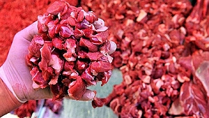 Kurban Etini Tüketirken ve Saklarken Bunlara Dikkat