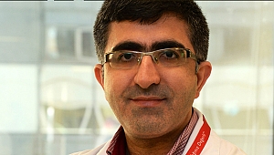 Lavanta Yağıyla Bebeğinizi Sinek Isırıklarından Koruyun