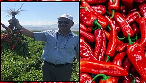 Maraş’ın Yüzü Maraş Biberi Basına Tanıtılıyor!