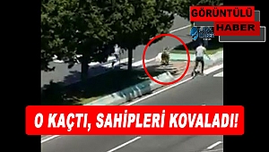 O Kaçtı, Sahipleri Kovaladı!