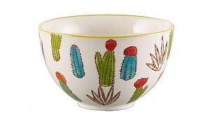 PAŞABAHÇE MAĞAZALARI KAKTÜS SEVERLERİ BEKLİYOR