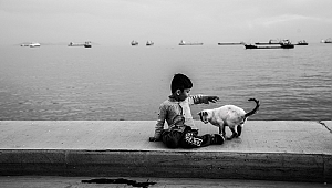 Zeytinburnu 8. Fotoğraf Yarışması Başladı