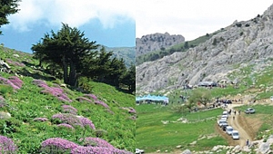 Abaz Yaylası (Kertmen) Nerede? Abaz Yaylası (Kertmen) Yol Tarifi