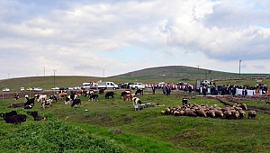 Abbaslar Mahallesi nerededir?