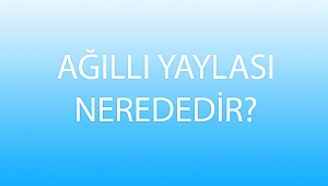 AĞILLI YAYLASI NEREDEDİR?