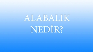 ALABALIK HAKKINDA HER ŞEY!