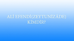 ALİ EFENDİ (ZEYTUNİZÂDE) KİMDİR?